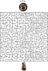 Labyrinth_Task_.png