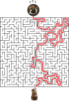 Labyrinth_Task — kopia.png